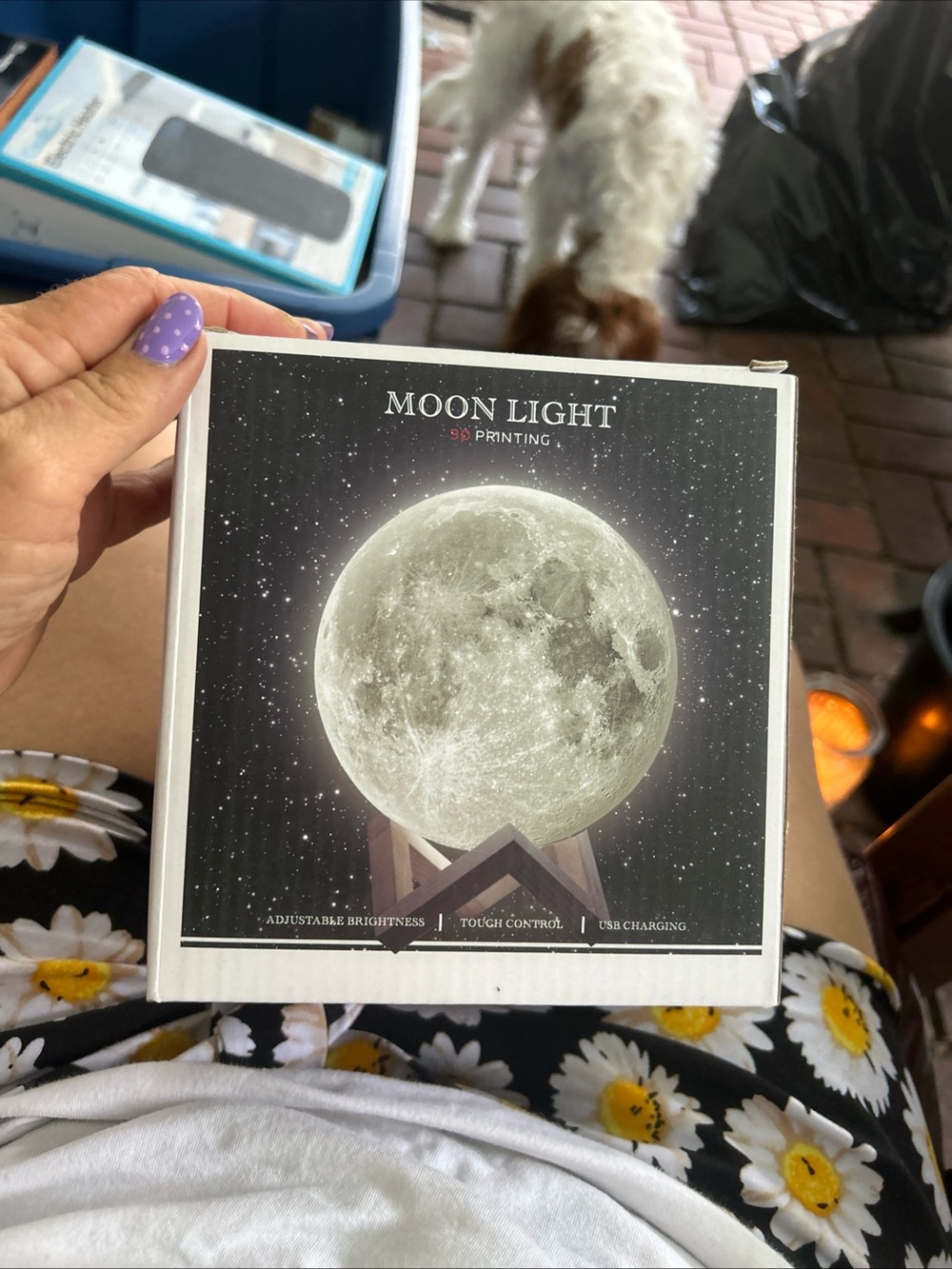 Moon Light LED Moon Lamp -